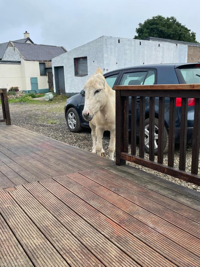 Farm Stay Property Pets And Families Welcome 로스노우라그 외부 사진