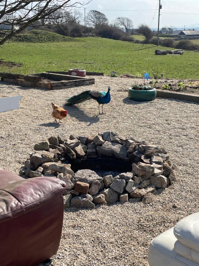 Farm Stay Property Pets And Families Welcome 로스노우라그 외부 사진